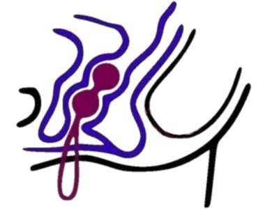 Kule Gejszy Vibe Therapy Fascinate Lux