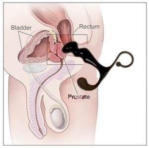 Masażer Prostaty Power Plug Toy Joy