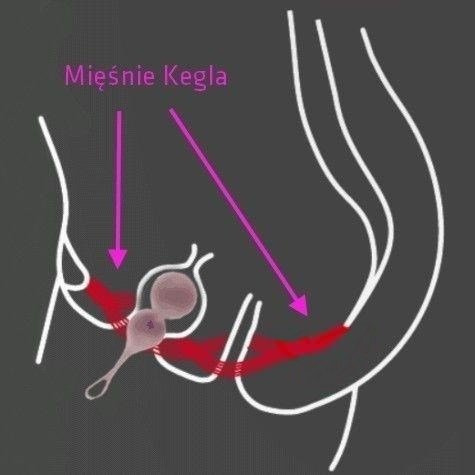 Silikonowe Kulki Gejszy Layla Peonia