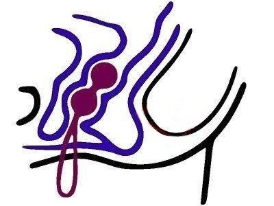 Kulki Gejszy Vibe Therapy Fascinate