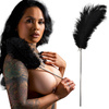 Piórko Do Łaskotania BDSM Sexy TABOOM – Figlarna Stymulacja i Cudowne Doznania!