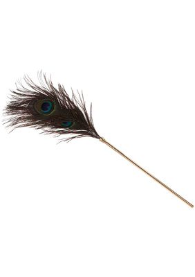 Piękne Pawie Piórko do Zabaw W Łóżku BDSM TABOOM – Dona Peacock Tickler dla Wspaniałych Doznań