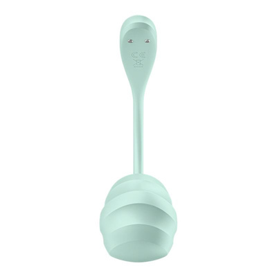 Satisfyer Smooth Petal Mint – Masażer Łechtaczki i Punktu G z Aplikacją