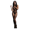 Bodystocking – Przezroczysta siateczka dopasowująca się do ciała Le Désir 11
