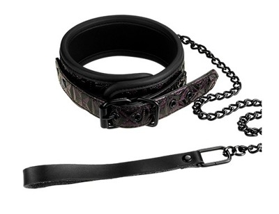 Stylowa Regulowana Obroża Ze Smyczą - Blaze Collar And Leash Purple