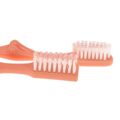 Zestaw Seksownych Szczoteczek do Zębów dla Par - Willy Toothbrush 